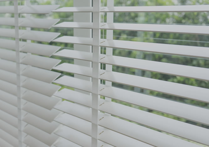 venetian blinds