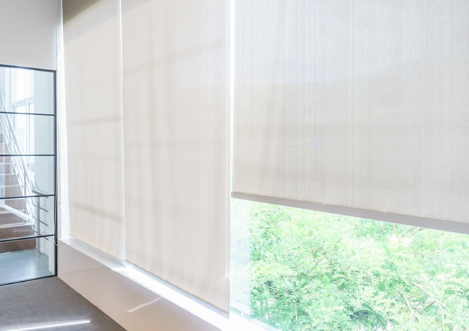 roller blinds